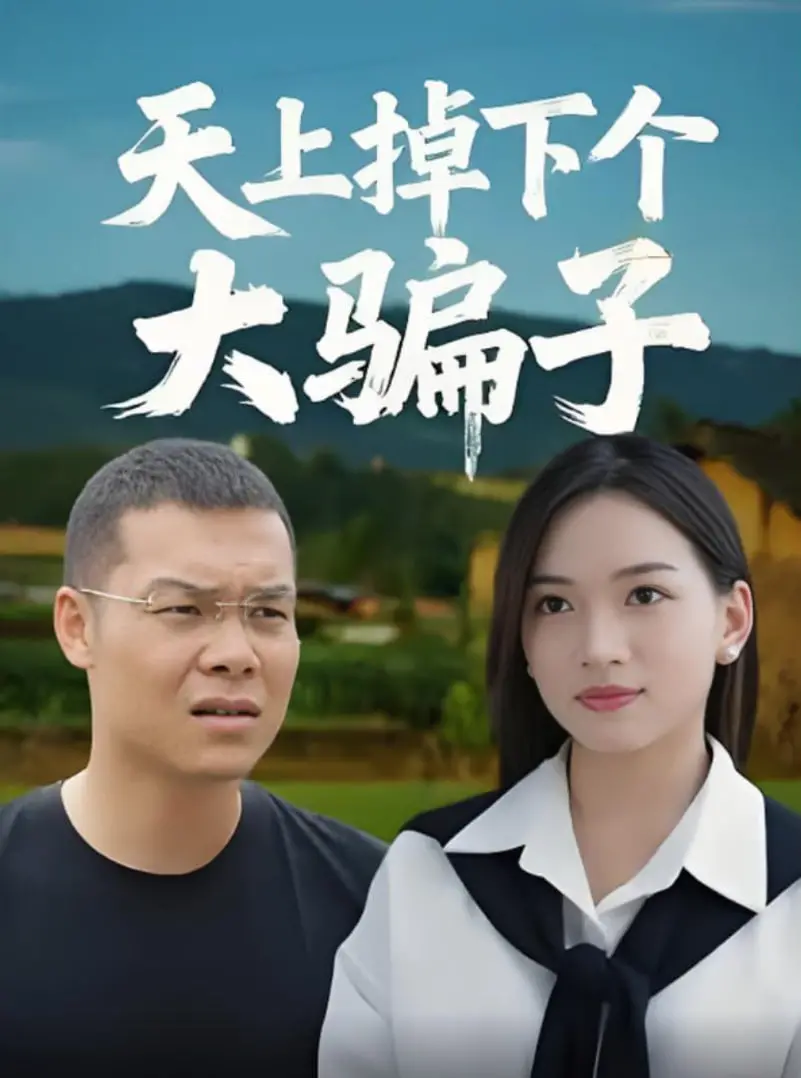 天上掉下个大骗子 海报