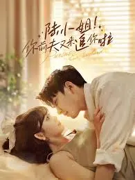 《陆小姐！你前夫又来追你啦》：一场关于爱与救赎的都市情感大戏，前夫花式追妻能否逆转破镜重圆？